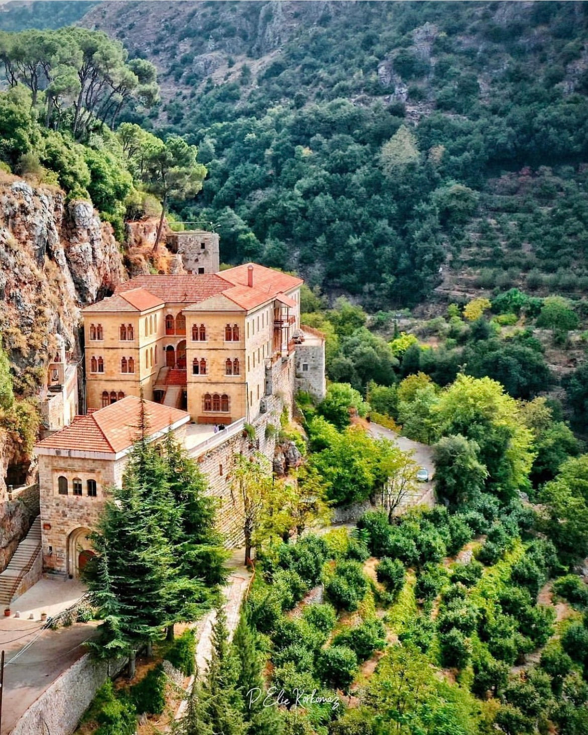Najeau’s 'Liquid Gold' Evoo:: A Rich and Sacred Tradition